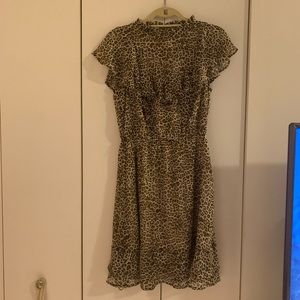 New NY & Company Leopard Dress Size M